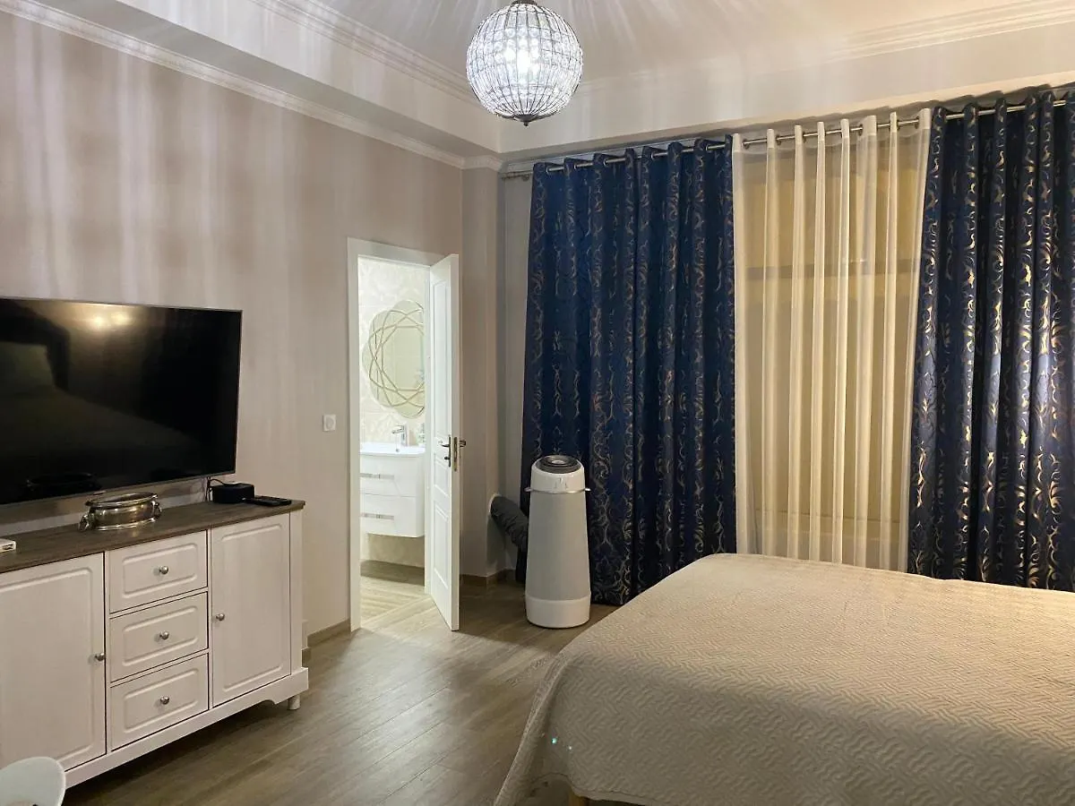 Large Beautiful Studio Near The Negresco Hotel Nice