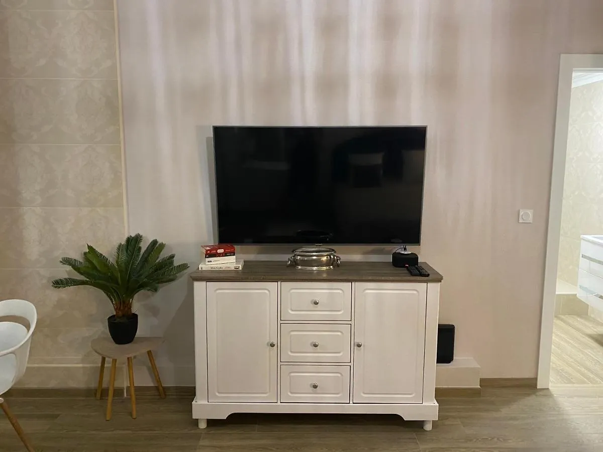 Apartment Large Beautiful Studio Near The Negresco Hotel Nice
