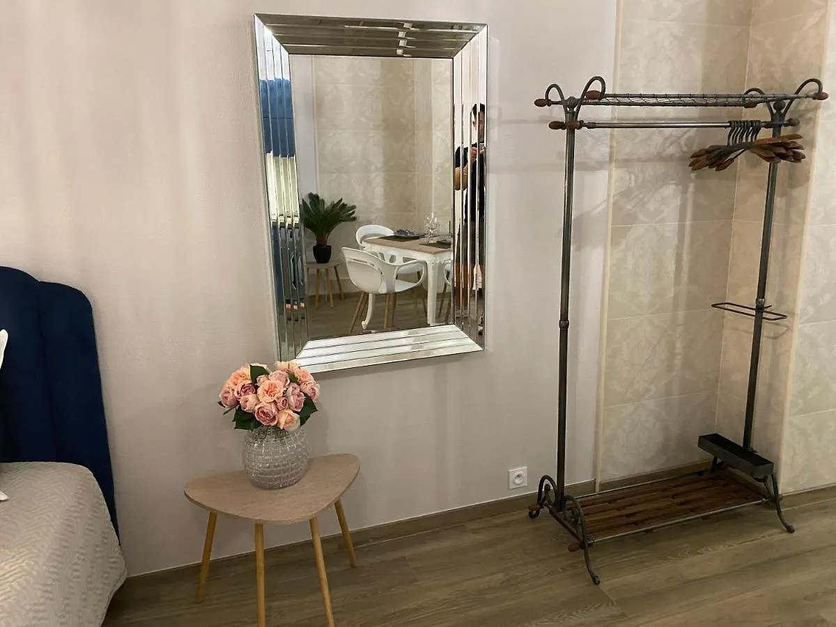 Large Beautiful Studio Near The Negresco Hotel Nice Apartment